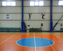 OLYMPUS DIGITAL CAMERA